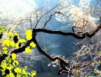 关于你名句欣赏