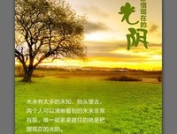 最全的《小心轻放的光阴》经典名句
