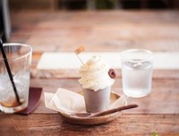 最全的《过于喧嚣的孤独》经典的句子