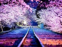祂极重要的生命在你身上的表现 The Expression Of His