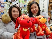 难以做出选择的狗