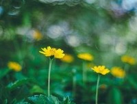 追风句子大全