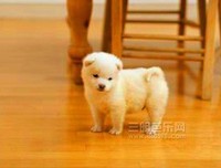 把这个放朋友圈，谁会第一个对你说这句话