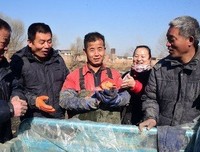 放生红鲤鱼