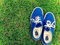 最新的《益如风降措尊者新浪微博》佳句摘抄大全