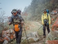 最经典的《穿越网郑么发去下音飘零》佳句摘抄