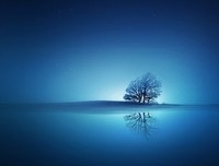 最新的《匆匆说风走年》经典句子大全