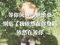 《来自心萌心语的999封情书》名句欣赏大全