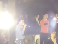 三只小蠢猪