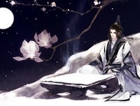 最经典的《宿命》经典句子