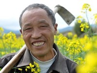 且听风吟经典名句