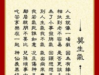 冷青衫的格言