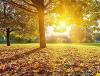 最新的《曙光》好段摘抄大全