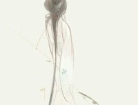 最全的《独语》语录摘抄大全