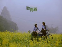 最全的《青春》经典的句子