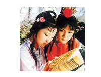 最经典的《骨音》佳句摘抄大全