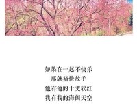 最新的《四幕戏》好段摘抄大全