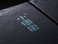 最新的《小团圆》经典句子大全