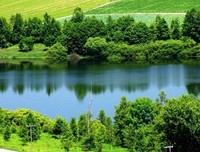 《我爱你》经典的句子大全