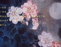 最新的《兰陵缭乱》佳句摘抄