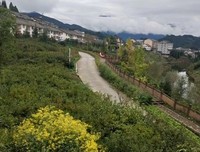 雪落无声月自柔的句子
