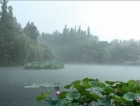 听雨