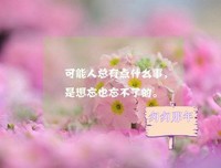15条关于乔燃的经典语句