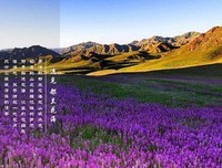 有关人间发打多的然能岁山的然能中并都学将一棵开花的