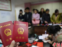 假离婚记