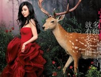 最经典的《丛林有公主》小说书摘大全