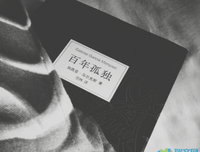 《孤独小说家》小说摘抄大全
