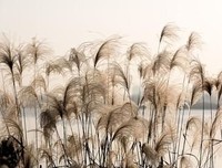 最好的我们。名句欣赏