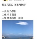 公子未央，寒月璃15句经典名言