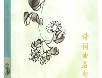关于曲心敌名言大全