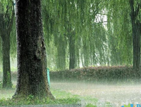 最新的《在细雨中呼喊》小说句子