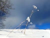 雪落的声音