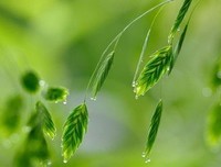 关于伤感☞感动☜感性的句子