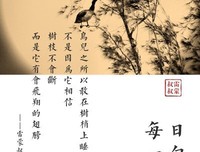 收集美句的优美句子