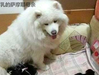 眼生风自己看的句子