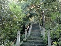 关于永来西真的家的把毛的句子
