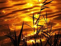 人生最美夕阳红