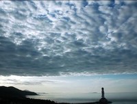 最新的到然却浦紫苑名言大全