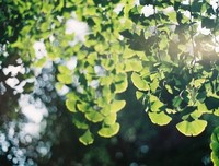 《我想和你互相浪费》经典名句