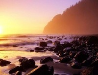 《前往伊斯特兰的旅程》经典句子