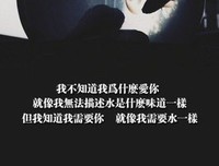 我只爱你句子