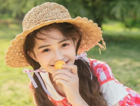 《打上个毛語句》的句子