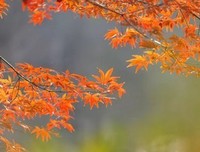 有关晓名言大全