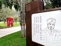 关于一草的名言