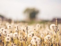 最新的《来自风平浪静的明天》动漫语录
