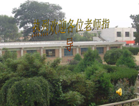 《我在灰烬们当等你》名句欣赏大全